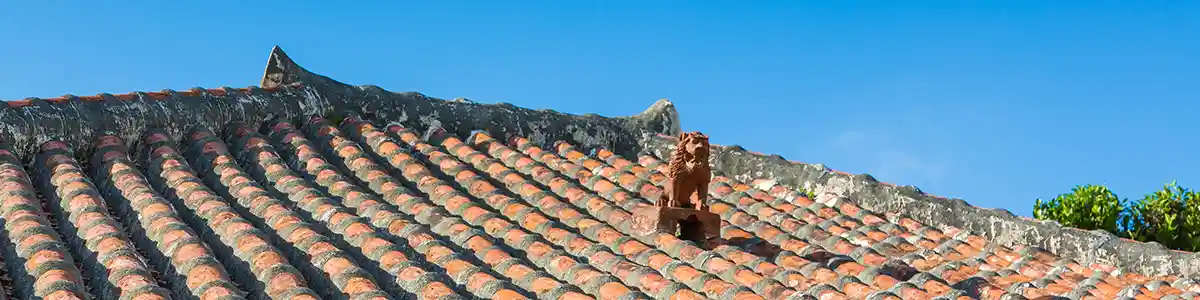 屋根の上のシーサー
